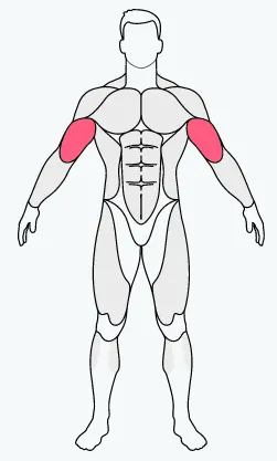 musclefit,bicep, bicep exercise equipment