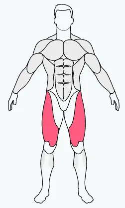 musclefit,bicep, bicep exercise equipment